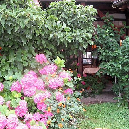 Guest House Zlatibor Budva Dış mekan fotoğraf