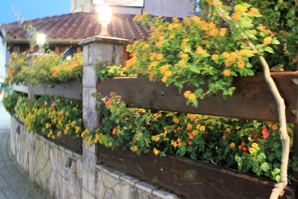 Guest House Zlatibor Budva Dış mekan fotoğraf